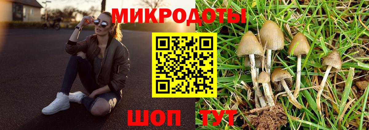 Псилоцибиновые грибы Magic Shrooms Долгопрудный
