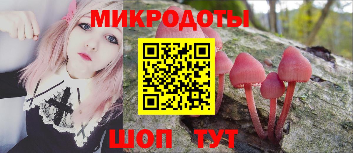 Галлюциногенные грибы мицелий  Вход с VPN  Долгопрудный  Псилоцибиновые грибы прущие грибы 